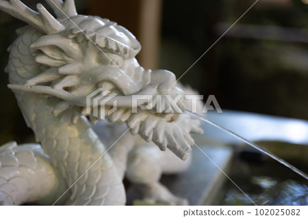 田無神社長壽屋的龍雕 102025082