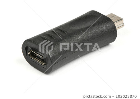 Micro USB to USB-C adapter, USB Type C adapter kit for mobile phone on a white background. Side view. 102025870