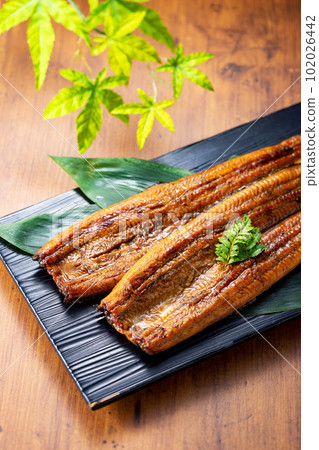 2條鰻魚 2條鰻魚 102026442
