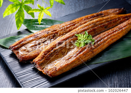 烤鰻魚 烤鰻魚 102026447