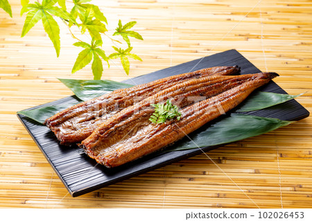 Grilled eel 102026453