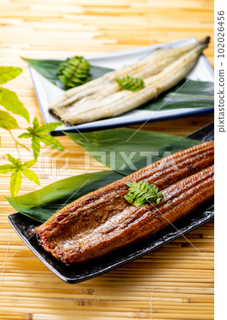 鰻魚 102026456