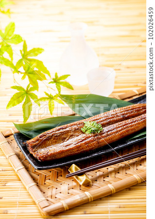 Grilled eel Grilled eel 102026459