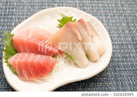 金槍魚和黃尾魚生魚片 102026995