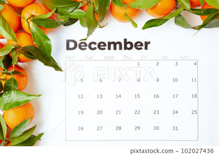 winter flat lay with tangerines and december calendar winter flat lay with tangerines and december calendar 102027436