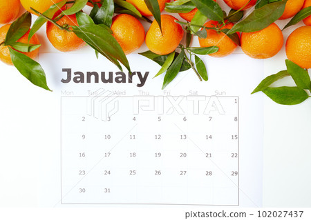 winter flat lay with tangerines and january calendar winter flat lay with tangerines and january calendar 102027437