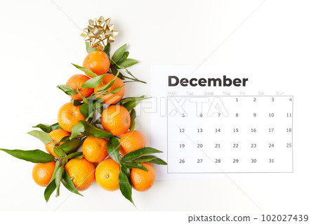 winter flat lay with christmas tree shape tangerines winter flat lay with christmas tree shape tangerines 102027439