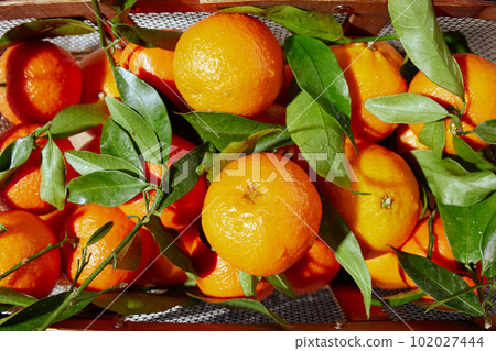 winter flat lay with tangerines in basket winter flat lay with tangerines in basket 102027444