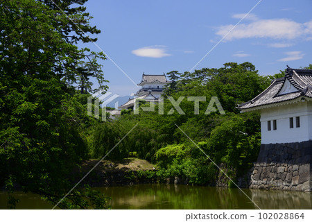 Odawara Castle tower surrounded by greenery Odawara Castle tower surrounded by greenery 102028864