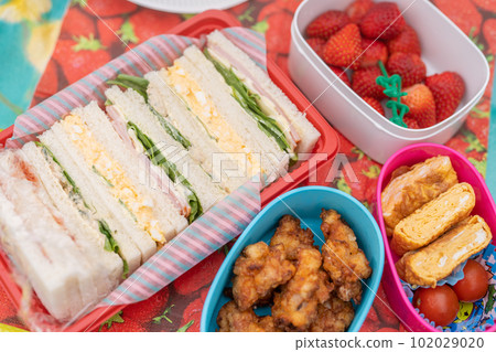 Handmade bento 102029020