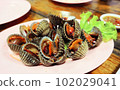 Seafood dish, Blanched cockles in dish on table 102029041