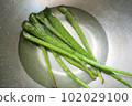 Fresh aloe vera with fresh water in basin 102029100