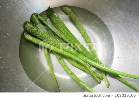 Fresh aloe vera with fresh water in basin Fresh aloe vera with fresh water in basin 102029100