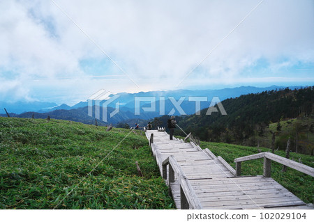 Yoshino-Kumano National Park in autumn, facing the Kumano Sea from Masaki Pass with dead trees Yoshino-Kumano National Park in autumn, facing the Kumano Sea from Masaki Pass with dead trees 102029104
