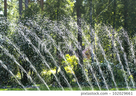 Garden irrigation system lawn. Automatic lawn sprinkler watering green grass with water drops. Lawn sprinkler spills water over green grass. 102029661