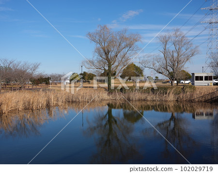 在河內町散步 102029719