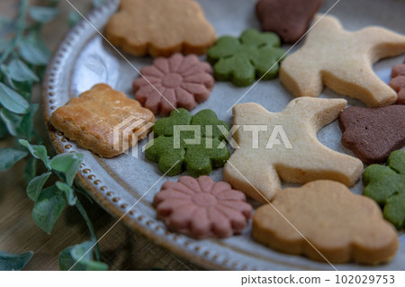 Cute cookies 102029753