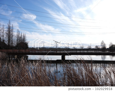 Walking around Kawachimachi 102029918