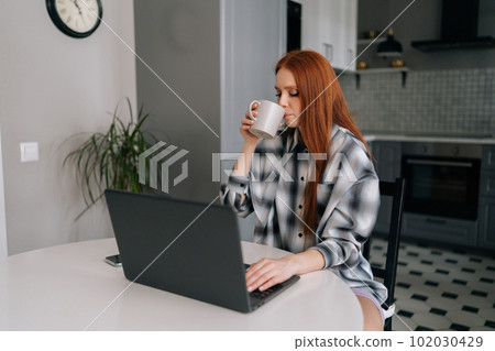 Portrait of pretty freelancer female enjoying cup of coffee while remote working or studying on laptop computer sitting at table on kitchen interior. Cute redhead young woman using laptop in morning. 102030429
