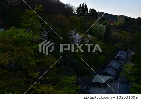 日本京都，清晨的清水寺，從稱為清水舞台的主殿、音羽瀑布、美麗的櫻花和城市景觀 102031609