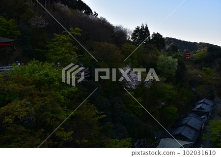Kyoto, Japan, Kiyomizu Temple in the early morning, view from the main hall called Kiyomizu Stage, Otowa Falls, beautiful cherry blossoms and the cityscape 102031610
