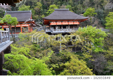 日本京都春天的清水寺從稱為清水舞台的主殿觀看美麗的櫻花和重要的文化財產阿彌陀堂和奧野院 102031649