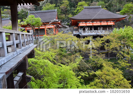 日本京都春天的清水寺從稱為清水舞台的主殿觀看美麗的櫻花和重要的文化財產阿彌陀堂和奧野院 102031650