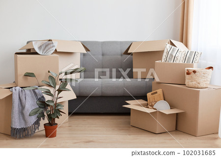 Cardboard carton boxes stack with household belongings in modern house living room, packed containers on floor and cough in new home, relocation, renovation, removals and delivery service. Cardboard carton boxes stack with household belongings in modern house living room, packed containers on floor and cough in new home, relocation, renovation, removals and delivery service. 102031685