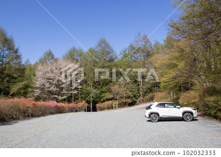 春天赤城森林公園第二停車場 102032333