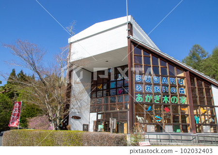 春天的赤城森林公園赤城樹屋 102032403