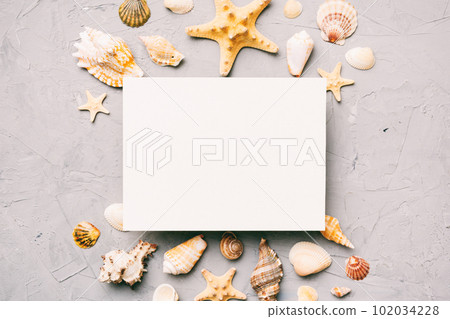 Summer time concept with blank greeting card and blank white paper on colored background. Seashells from ocean shore in the shape of frame separated with space for text top view 102034228