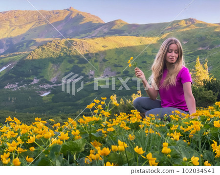Girl and yellow flowers Caltha palustris near mount Pip Ivan,Chornohora, Montenegrin Range. Carpathian mountains, Ukraine. Girl and yellow flowers Caltha palustris near mount Pip Ivan,Chornohora, Montenegrin Range. Carpathian mountains, Ukraine. 102034541