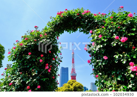 Angela Arch and Tokyo Tower Angela Arch and Tokyo Tower 102034930