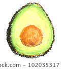 牛油果手繪插畫 102035317