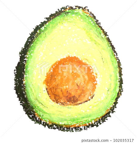 avocado hand drawn illustration avocado hand drawn illustration 102035317