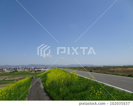 木津川自行車道 102035837