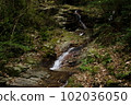 Aburayama Citizen's Forest Shiranami Falls 102036050