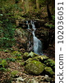 Aburayama Citizen's Forest Shiranami Falls 102036051