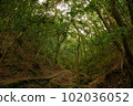 Aburayama Citizen's Forest Shiranami Falls 102036052