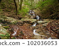 Aburayama Citizen's Forest Shiranami Falls 102036053