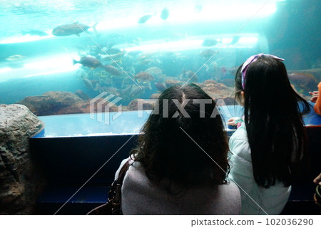 享受水族館的父母和孩子 102036290