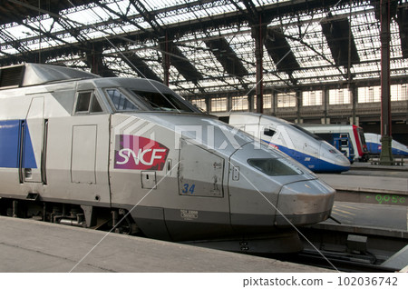 TGV (Paris Lyon station) 102036742