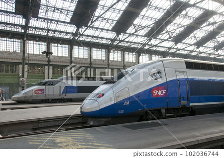 TGV (Paris Lyon station) TGV (Paris Lyon station) 102036744