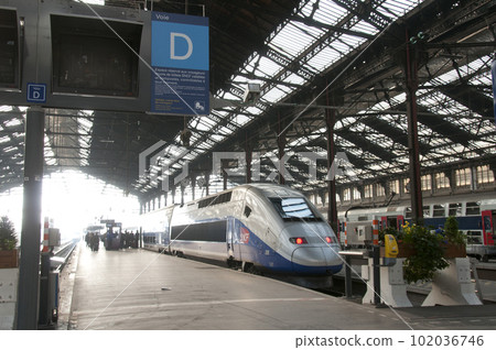 TGV (Paris Lyon station) 102036746