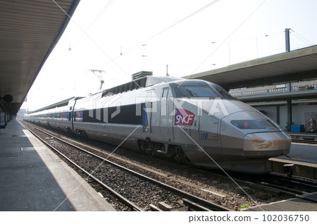TGV (Paris Lyon station) 102036750