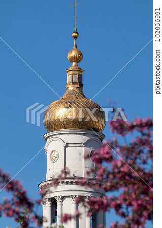 Dormition Cathedral golden dome in blooming trees Dormition Cathedral golden dome in blooming trees 102036991