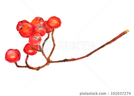 羅文水彩手繪 102037274