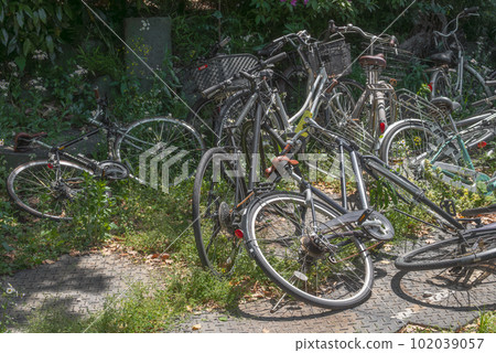 Abandoned bicycle abandoned in the grass Abandoned bicycle abandoned in the grass 102039057