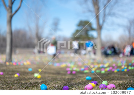 Open field with hundreds of plastic Easter eggs for a kids public hunt. Open field with hundreds of plastic Easter eggs for a kids public hunt. 102039977