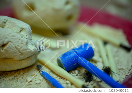 plaster of paris dinosaur eggs with excavation tools for youth fun. plaster of paris dinosaur eggs with excavation tools for youth fun. 102040011